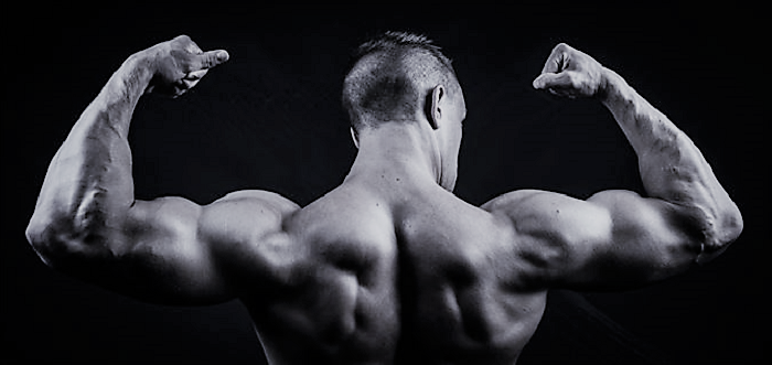 Bodybuilding Back Exercises