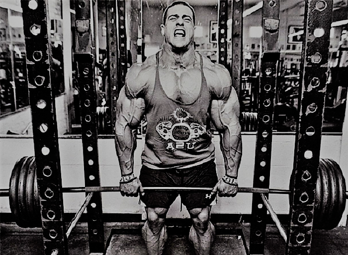 Rack Pulls